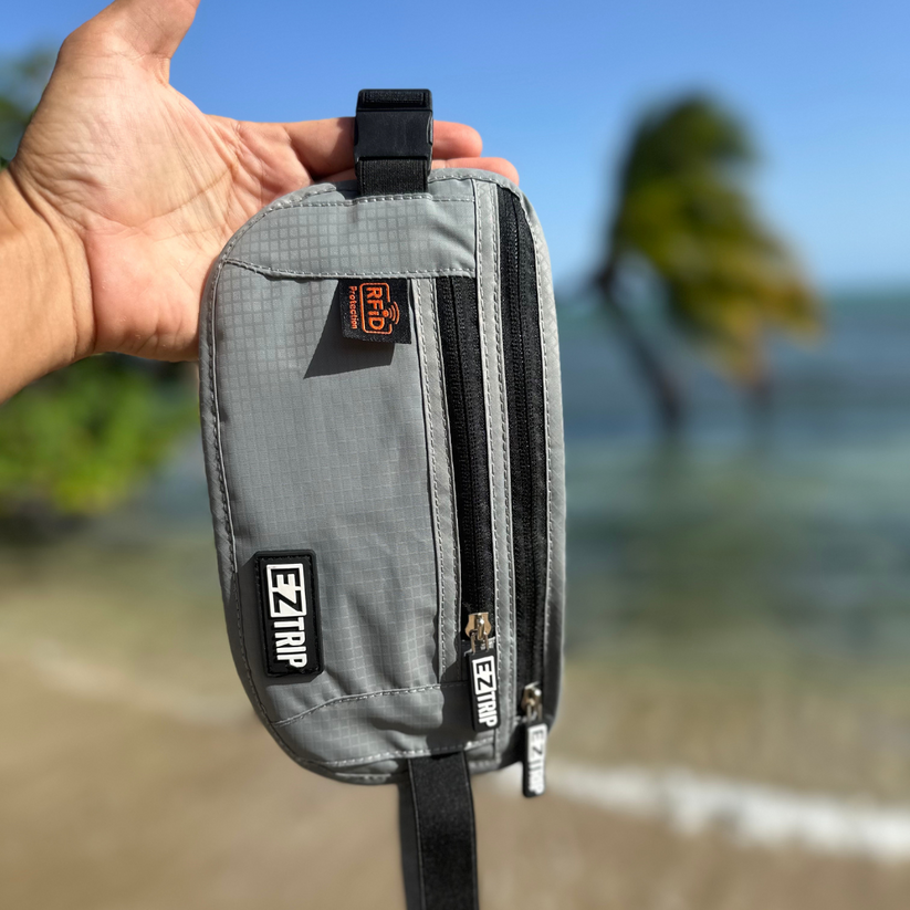 EZ Money Guard EZ TRIP Store